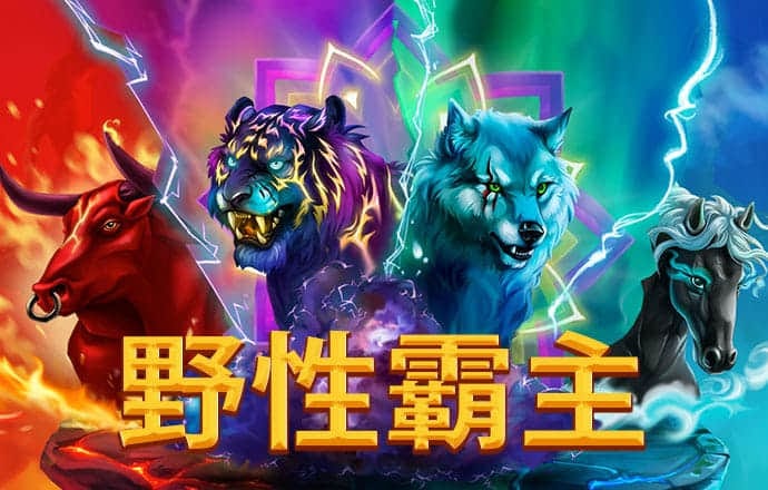 巩阳娥
